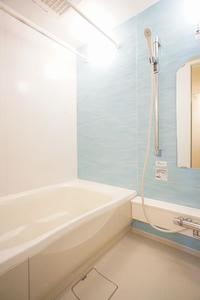 セミュー・ヴェール　芝 101号-8