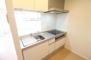 ルミエール浦和美園 302号-3