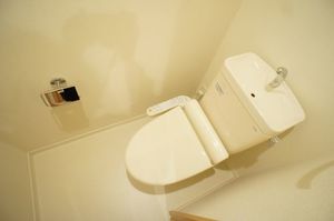 シャンドゥフルールⅠ 203号-11