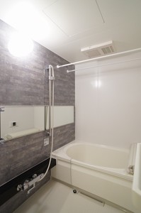 プロンシア青木 301号-7