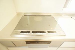 サン・グリナージュ 102号-4