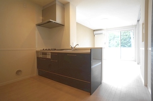 ルミナス 202号-10