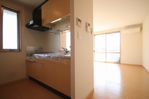 ファミリーハイツⅡ 202号-2