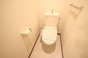 ＮＡハイツ　Ⅱ 201号-10