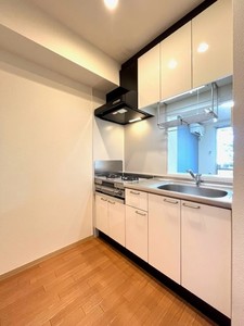 グレイスＮ．Ｋ　Ⅱ 105号-4