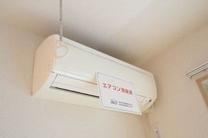 primevere 306号-9