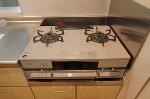 primevere 306号-11
