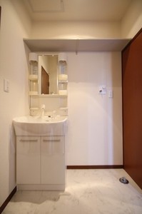 ドリーム 102号-9