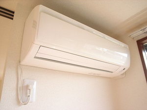 ドリーム 107号-8