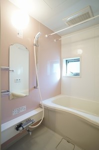 ブラウンハイムⅡ 202号-10