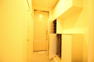 Ｒｅｓｉｄｅｎｃｅ　ＥＳＴ 206号-10