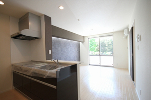 グランミーテ 102号-3