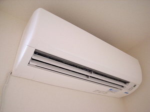 ピュア・ウィステリア 102号-8