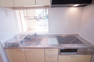 グリーンヴィラⅠ 101号-3