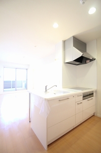 Well Fields 206号-4