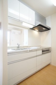 Ｎ　ｍａｉｓｏｎ　Ⅳ 201号-8