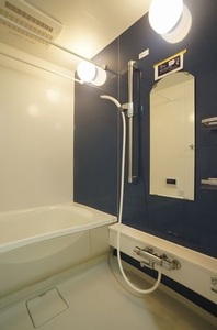 Ｎ　ｍａｉｓｏｎ　Ⅳ 201号-10