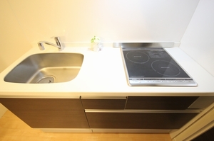 グリーンピア福寿　Ⅱ 102号-7