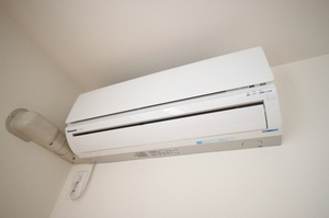 ＳｈａＭａｉｓｏｎ　Ｃｅｒｅｚｏ 102号-11