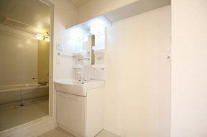 ブルックスター　Ⅰ 303号-7