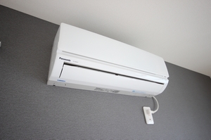 Ｆｅｌｉｓｅｅｄ 301号-8