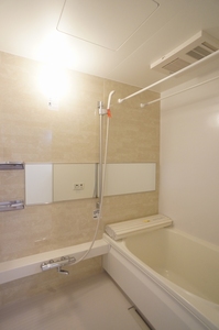 ブラウンハイムⅤ 102号-10