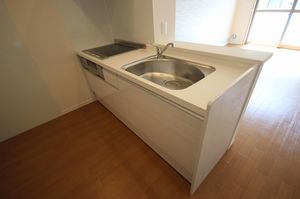 ブランシュ　Ⅱ 203号-8