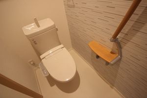 ブランシュ　Ⅱ 203号-11