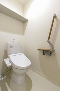 ウェルジーナ 201号-11