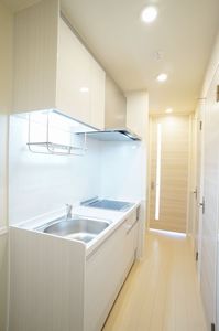 パルテノン 205号-8