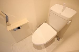 シトラス 302号-11