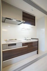 ジャカランダ 201号-8