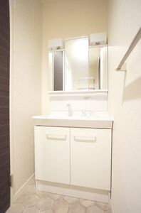 ジャカランダ 203号-9