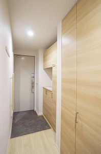 Aristio 205号-11