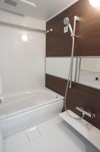 サイプレス 201号-9