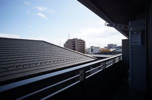 バッカスコート 303号-11