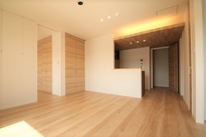 リフィシア 301号-3