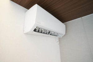 グレースゴンゲン 101号-10