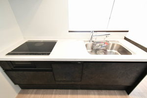 カインリッシュ 103号-7