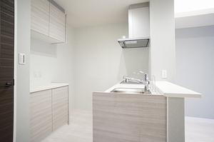 エテルカート　クキ 202号-7