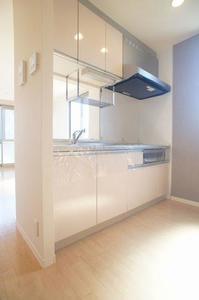 メゾンブランシュ 101号-7