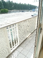 シャンゼリゼ 201号-3