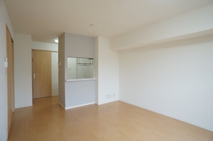 ルミナスリバーサイド 202号-3