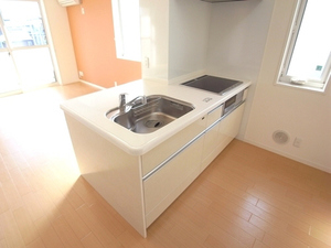 アイランド A 202号-5