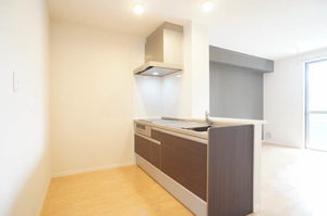 アンビシア　Ｄ 202号-4