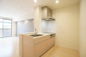 サンセール　Ⅱ 102号-3