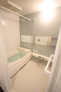 メゾン・ブランシェ Ⅱ 202号-10