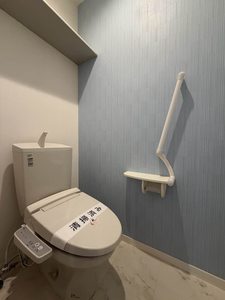 アンビエラ柏 Ⅱ 202号-10