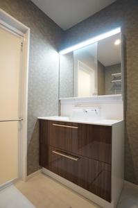 アネシス 103号-8