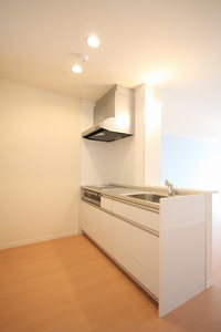 シャイニング K-Ⅲ 203号-5